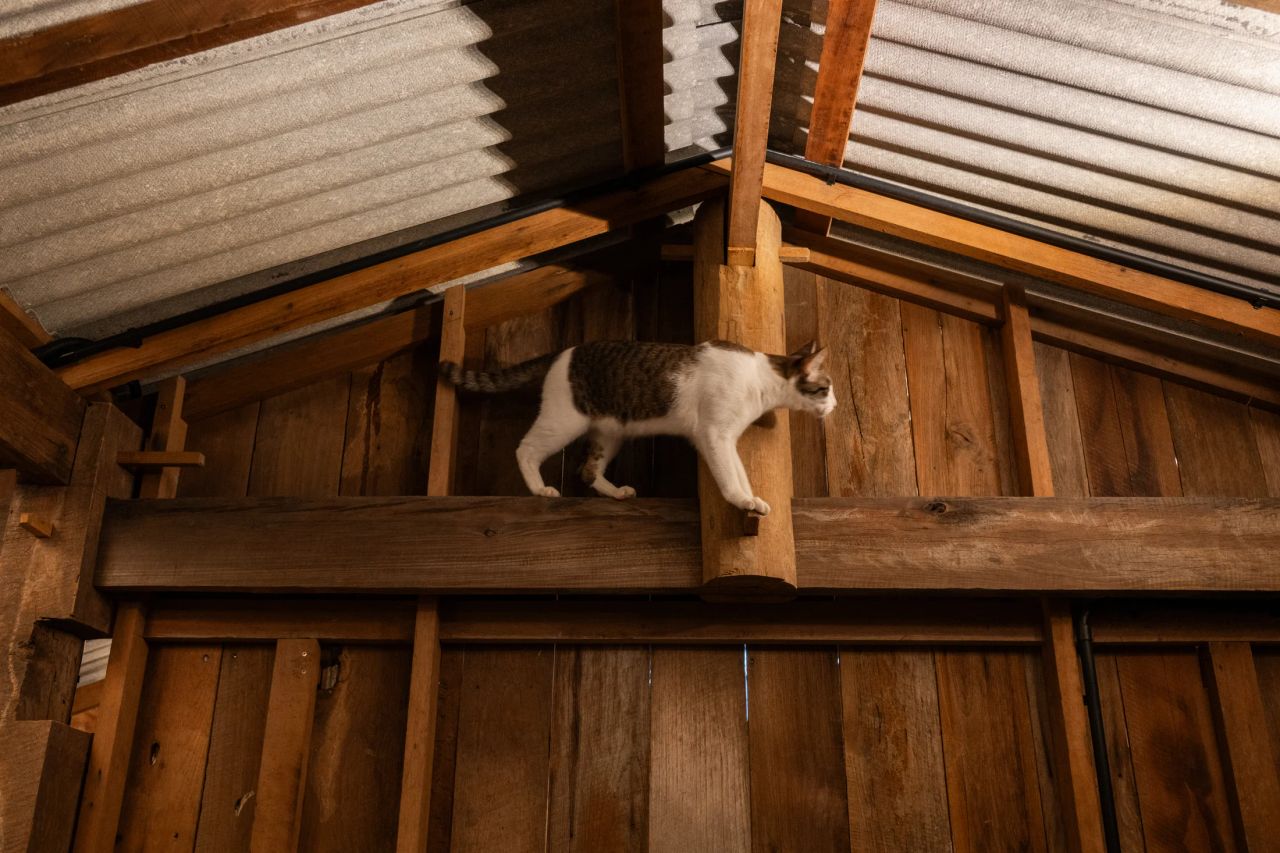 Summer House — project photograph 18