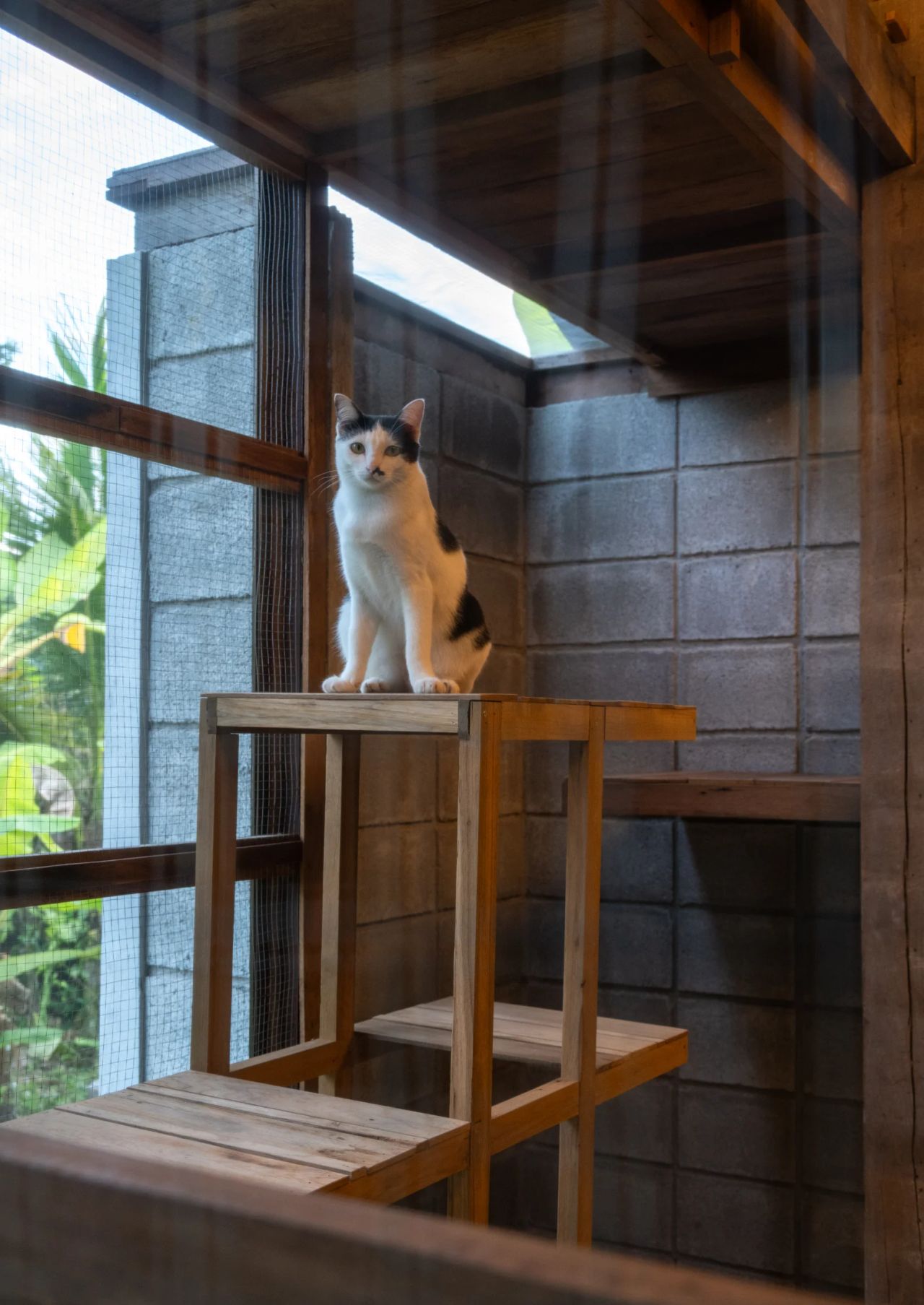 Summer House — project photograph 15