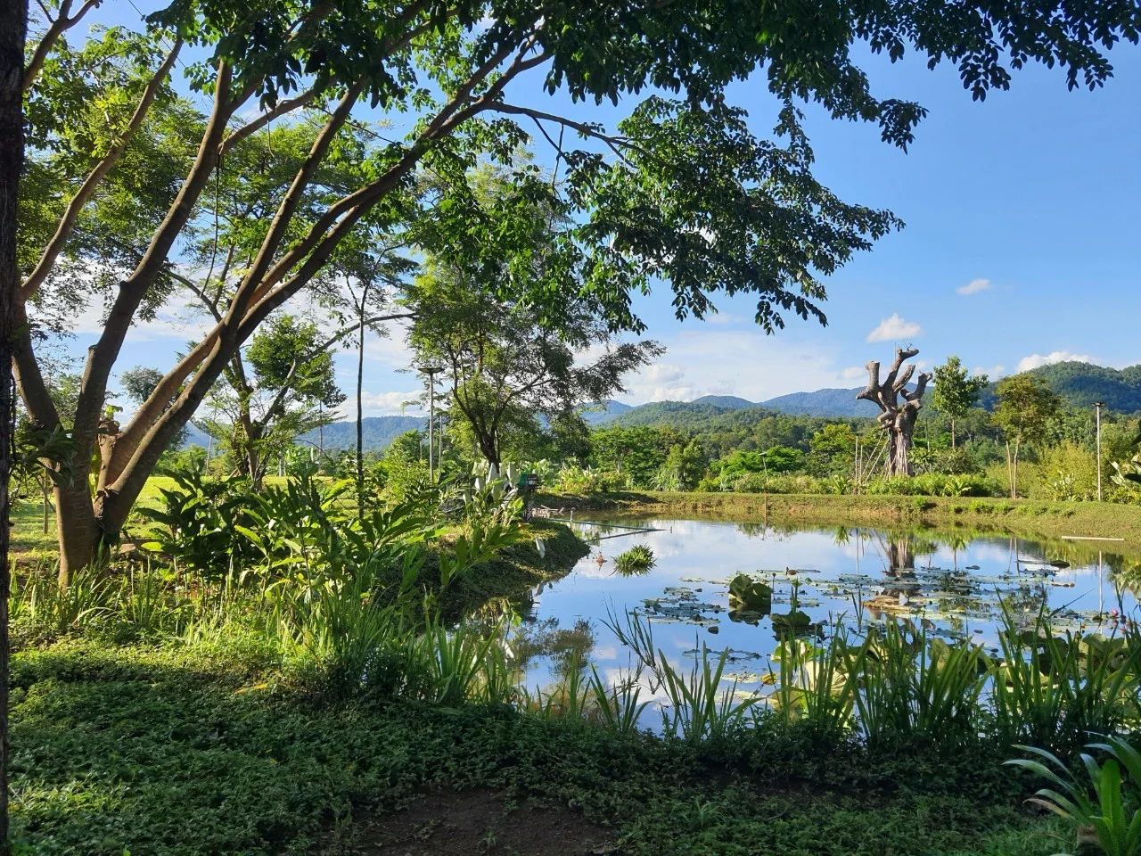 Tham-Tham Pai Garden — project photograph 5