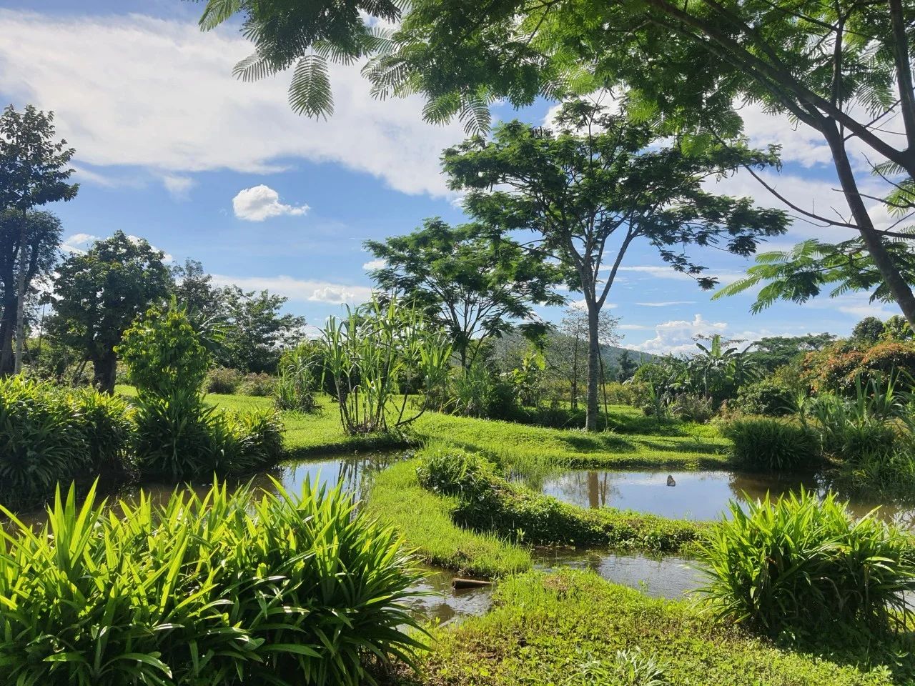 Tham-Tham Pai Garden — project photograph 6