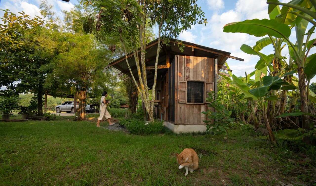Summer House — project photograph 7