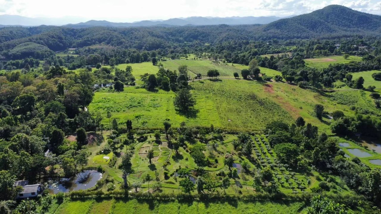 Tham-Tham Pai Garden — project photograph 2