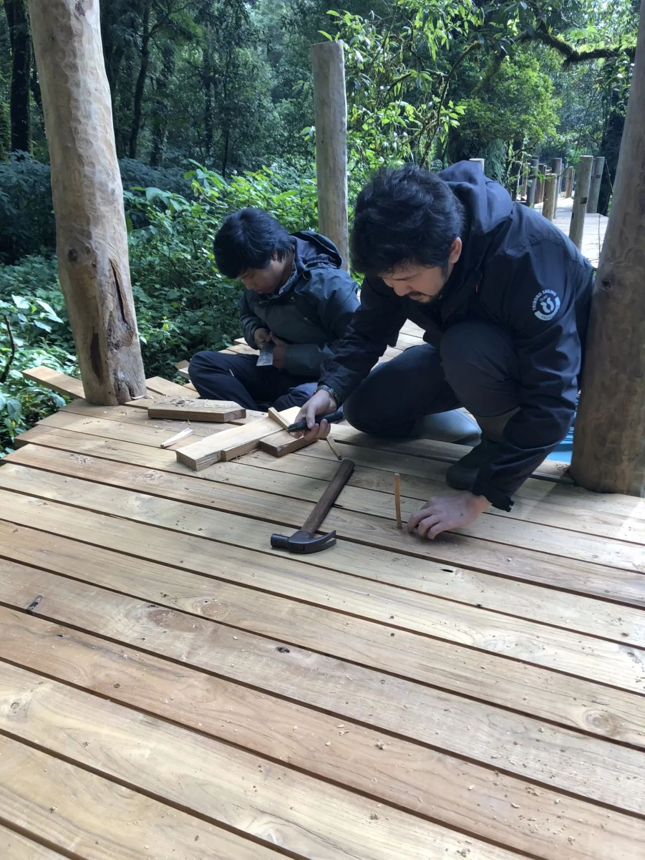 Inthanon Walkway — project photograph 15