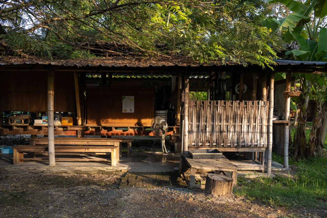 Studio Yangnar I — project photograph 2
