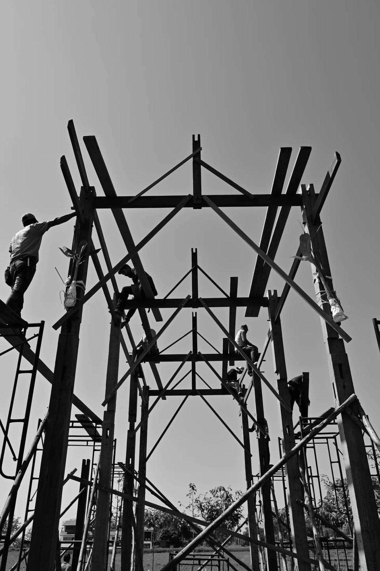 Teak Nest — project photograph 14