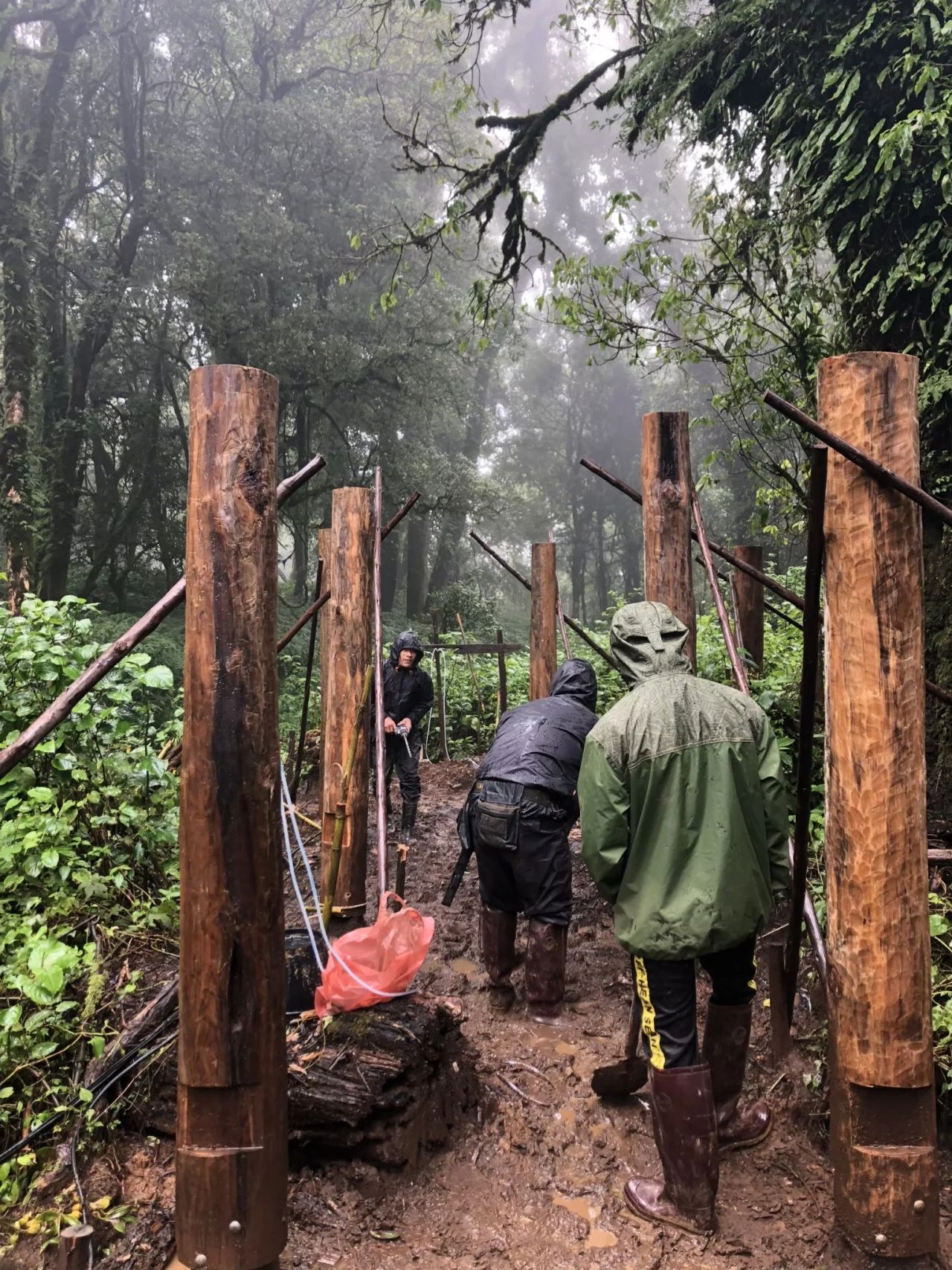 Inthanon Walkway — project photograph 17