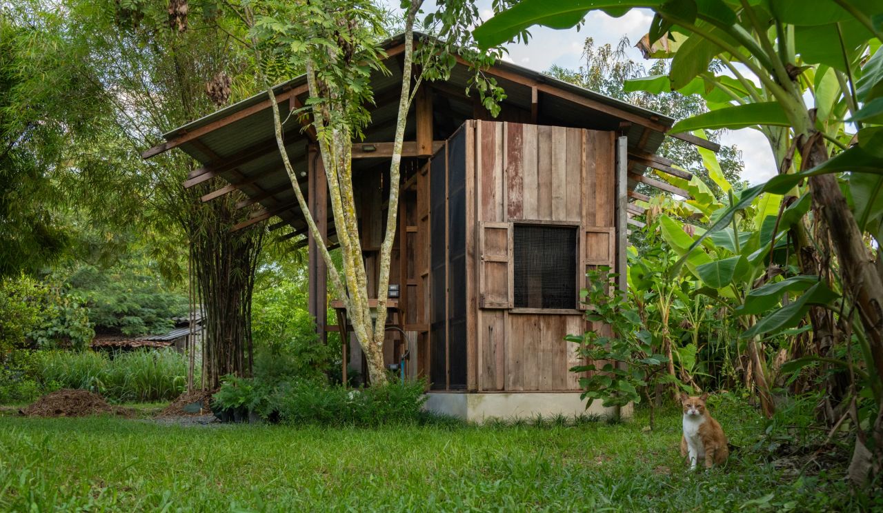 Summer House — project photograph 4