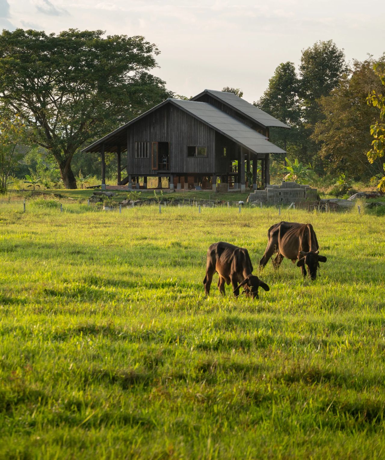 Raintree Lane Farm House — project photograph 38
