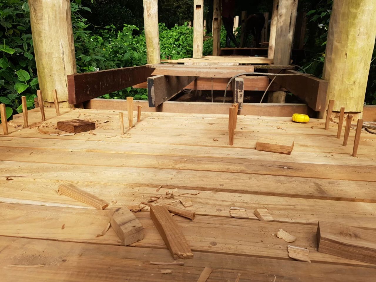 Inthanon Walkway — project photograph 8
