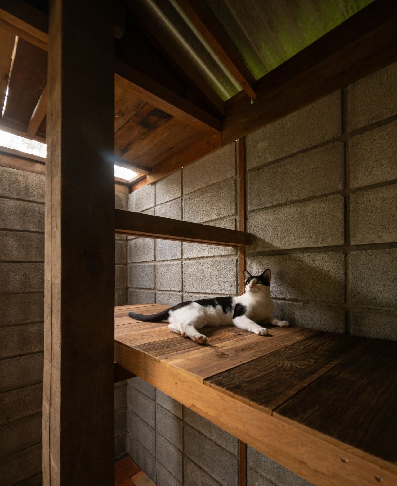 Summer House — project photograph 24