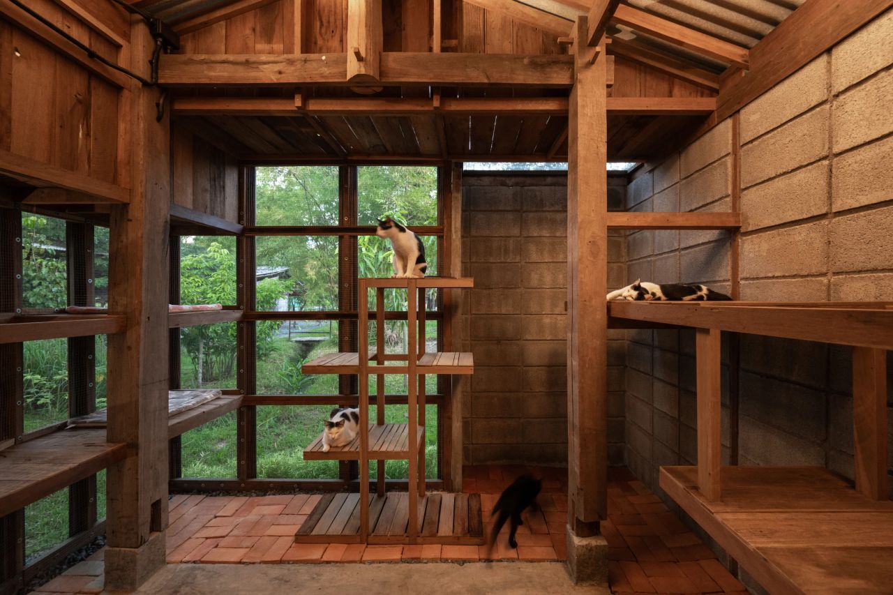 Summer House — project photograph 16