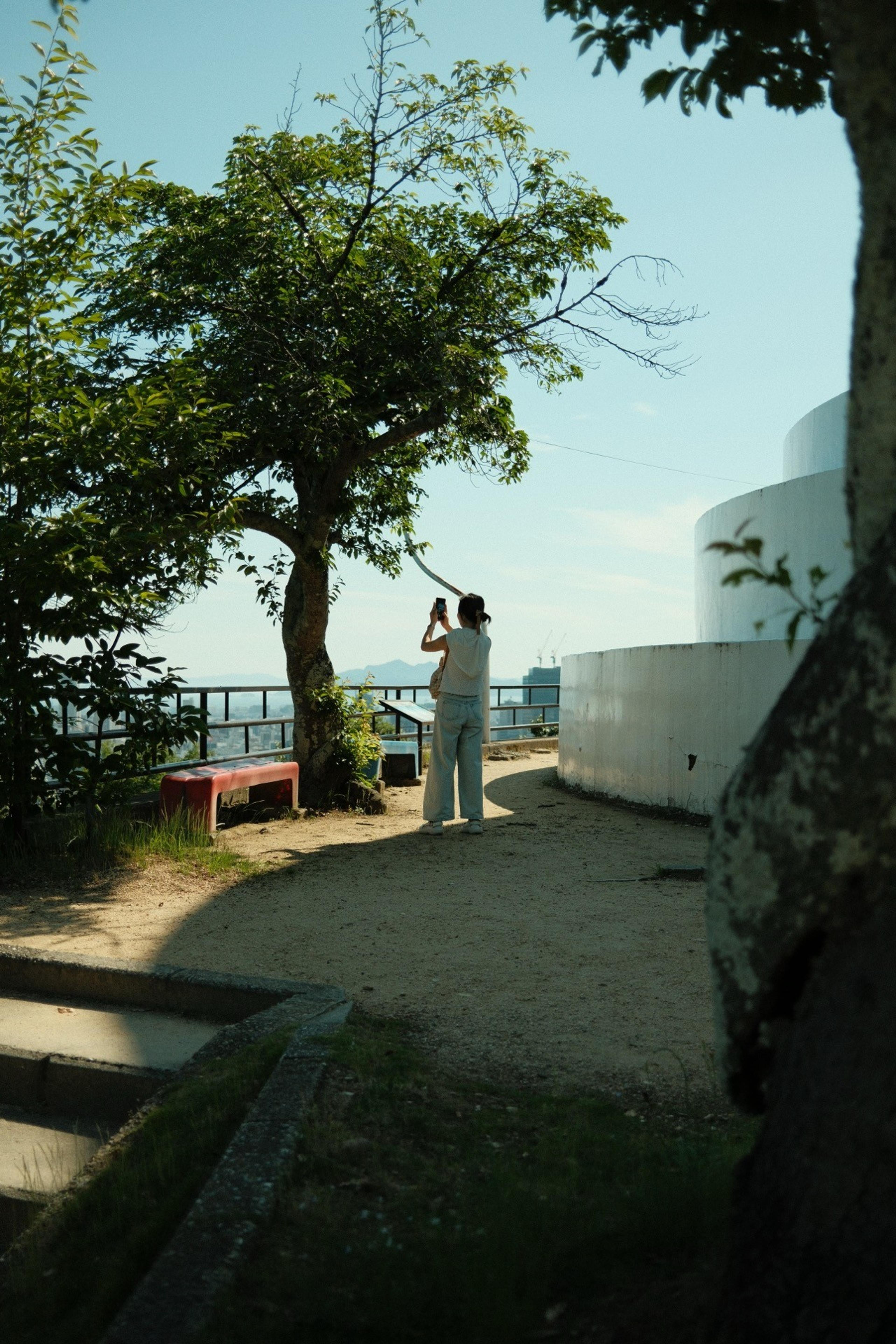 Person photographing the view from a hilltop lookout framed by trees and a white curved wall