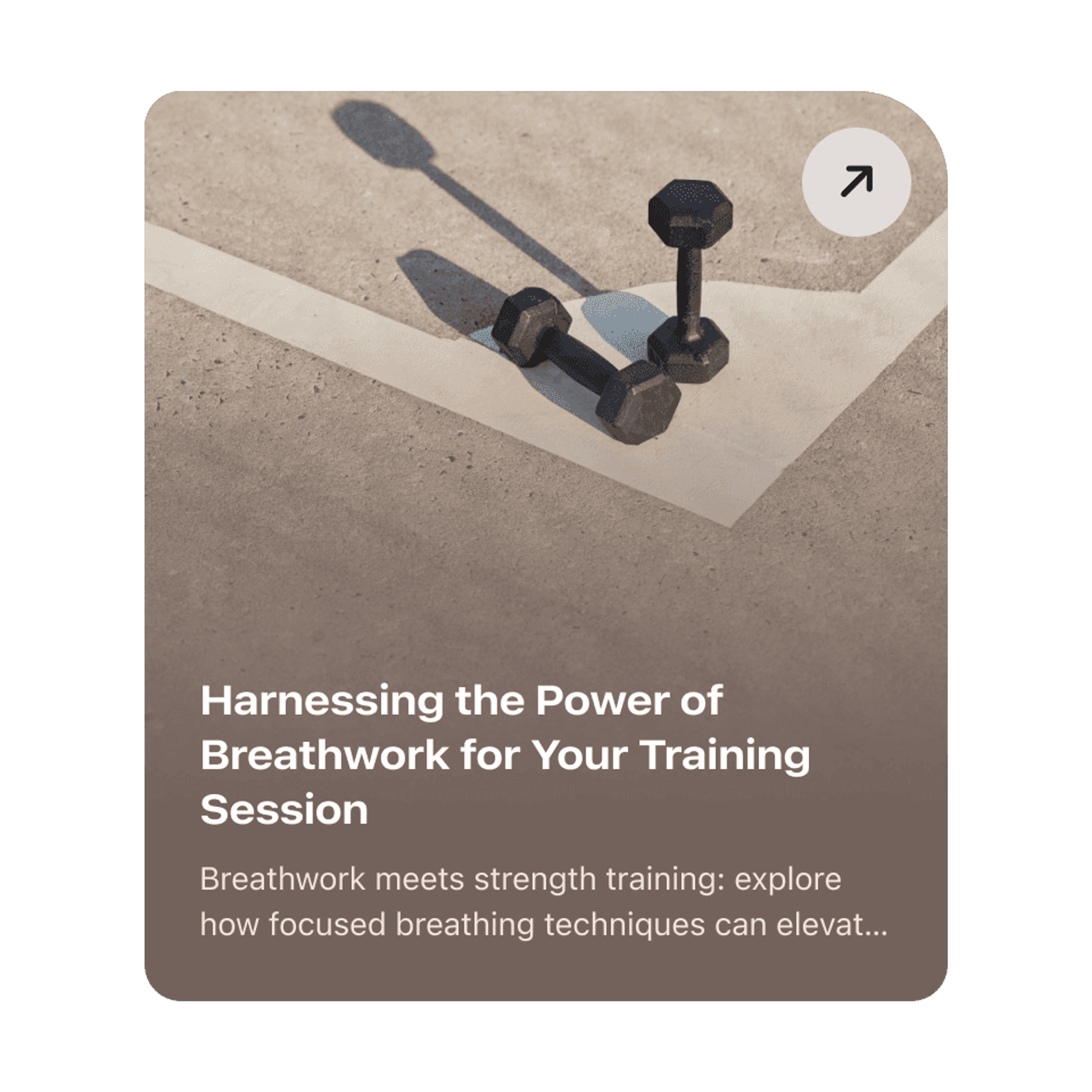 Article card with dumbbells on concrete: Harnessing the Power of Breathwork for Your Training Session