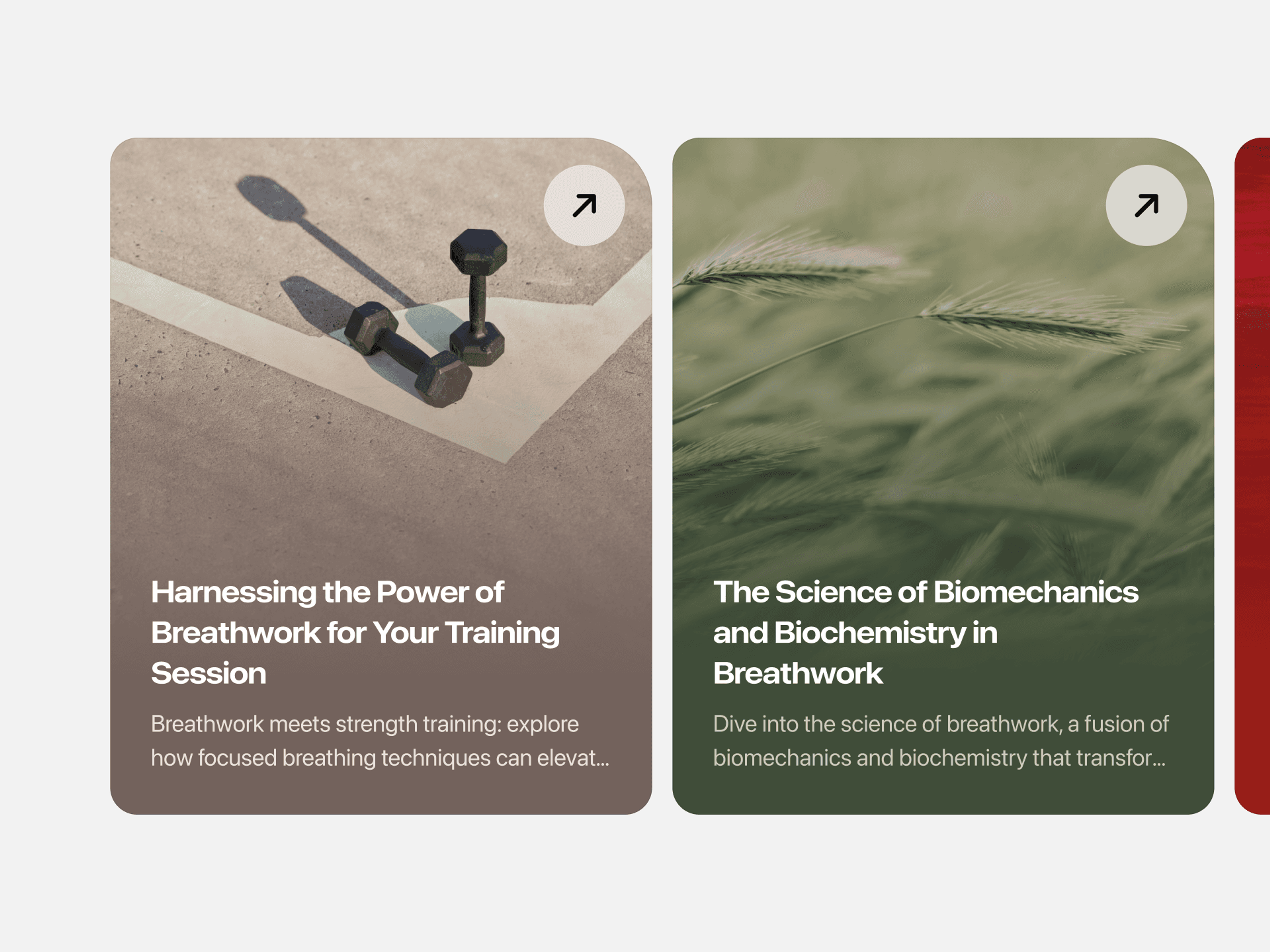 Float article cards about breathwork for training and the science of breathwork, with photos