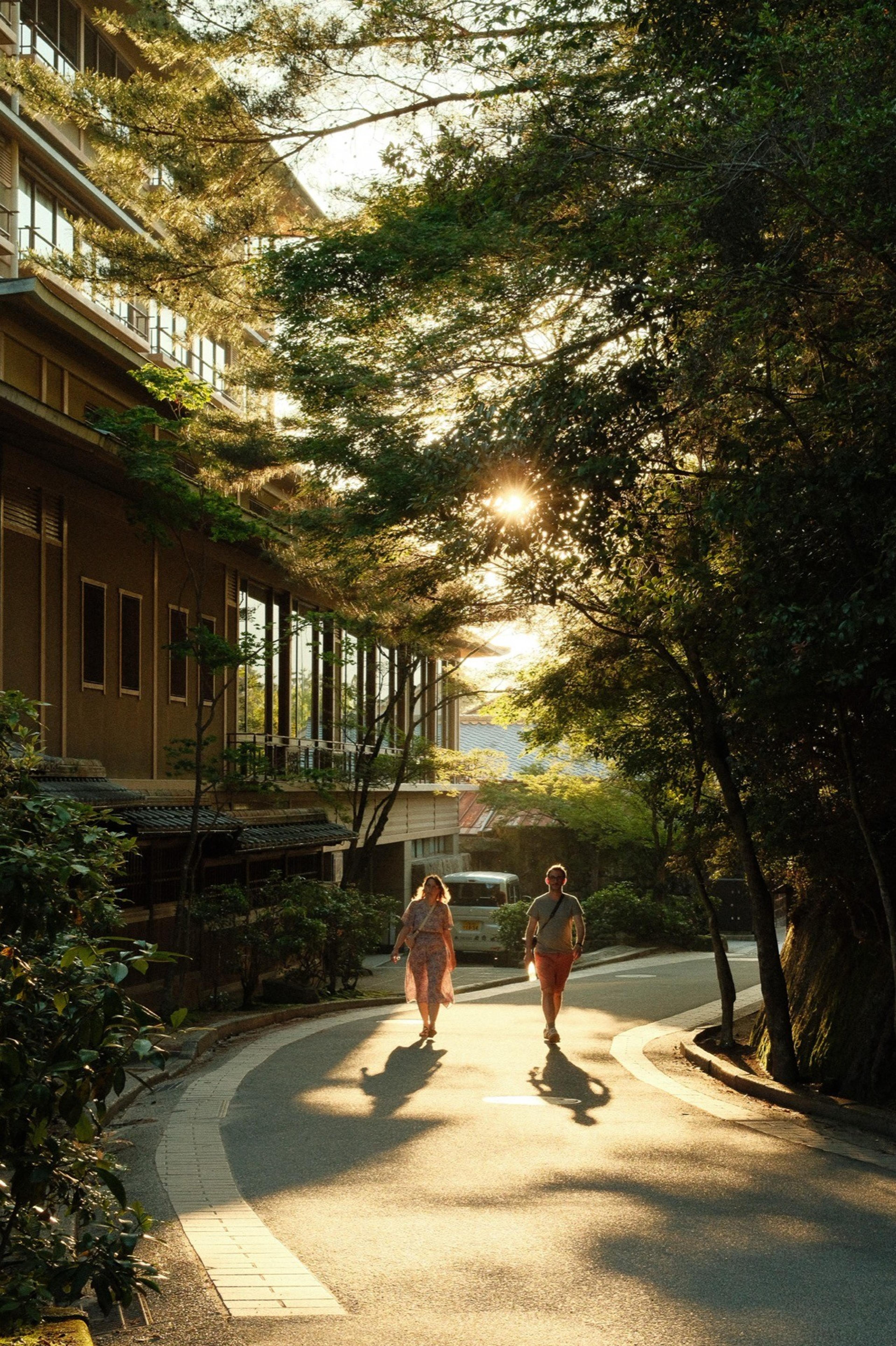 Two people walking up a curving tree-lined road toward the low sun, casting long shadows