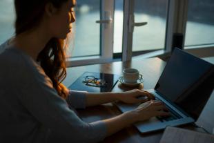 Person Working on Laptop - Gemma LLM