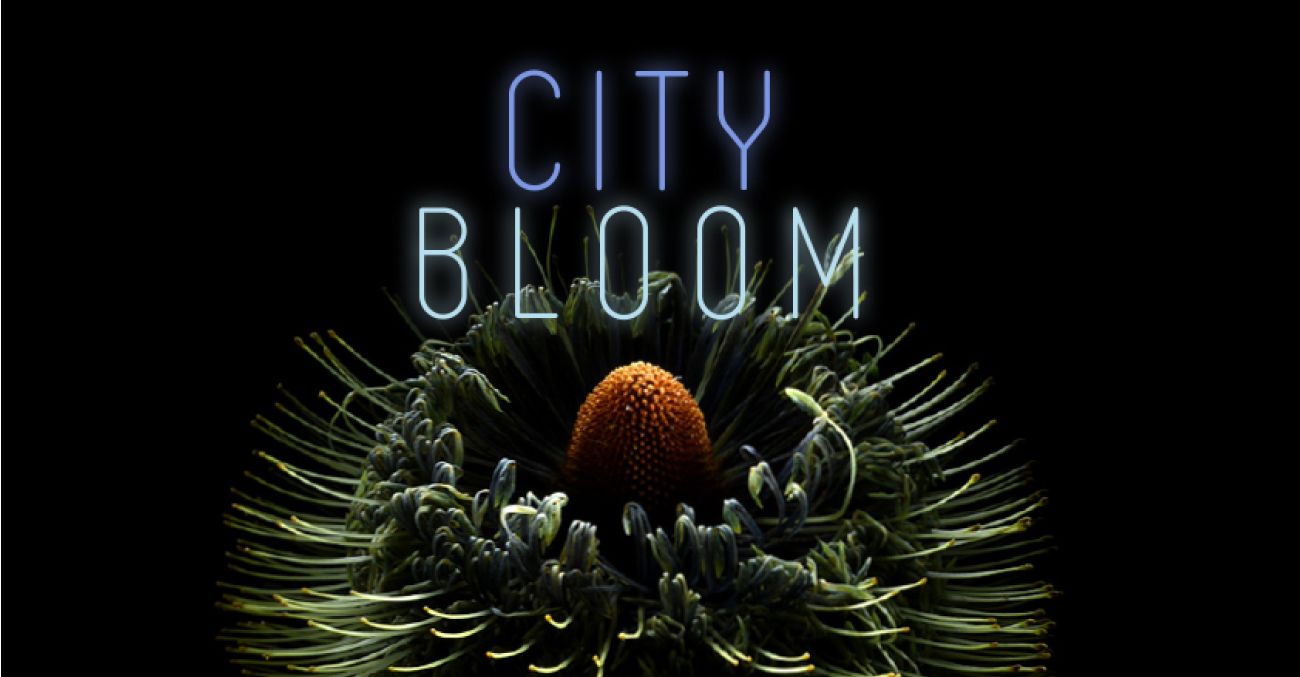 City Bloom - Projection and Art Event feature image