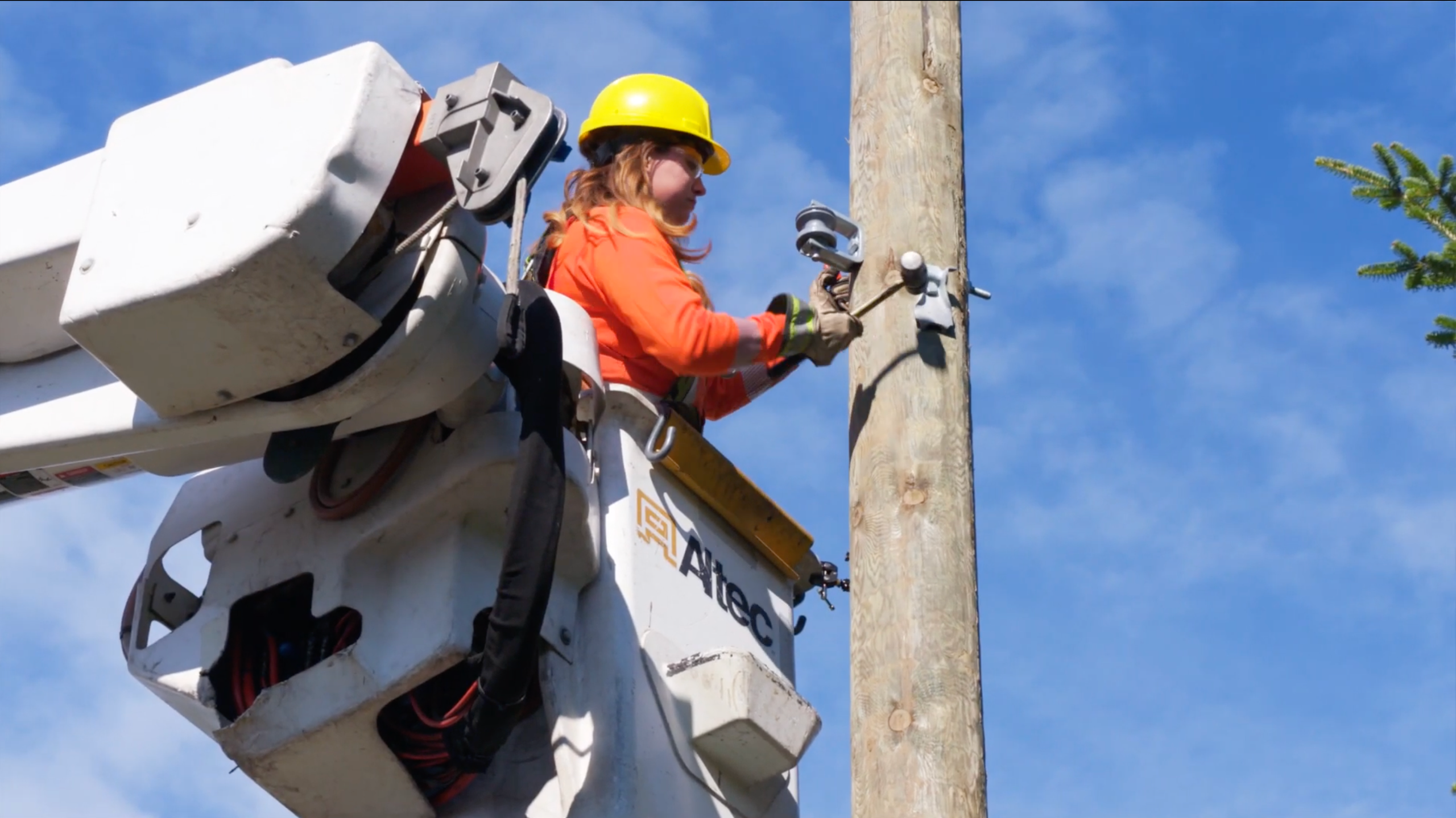 Powerline Technician
