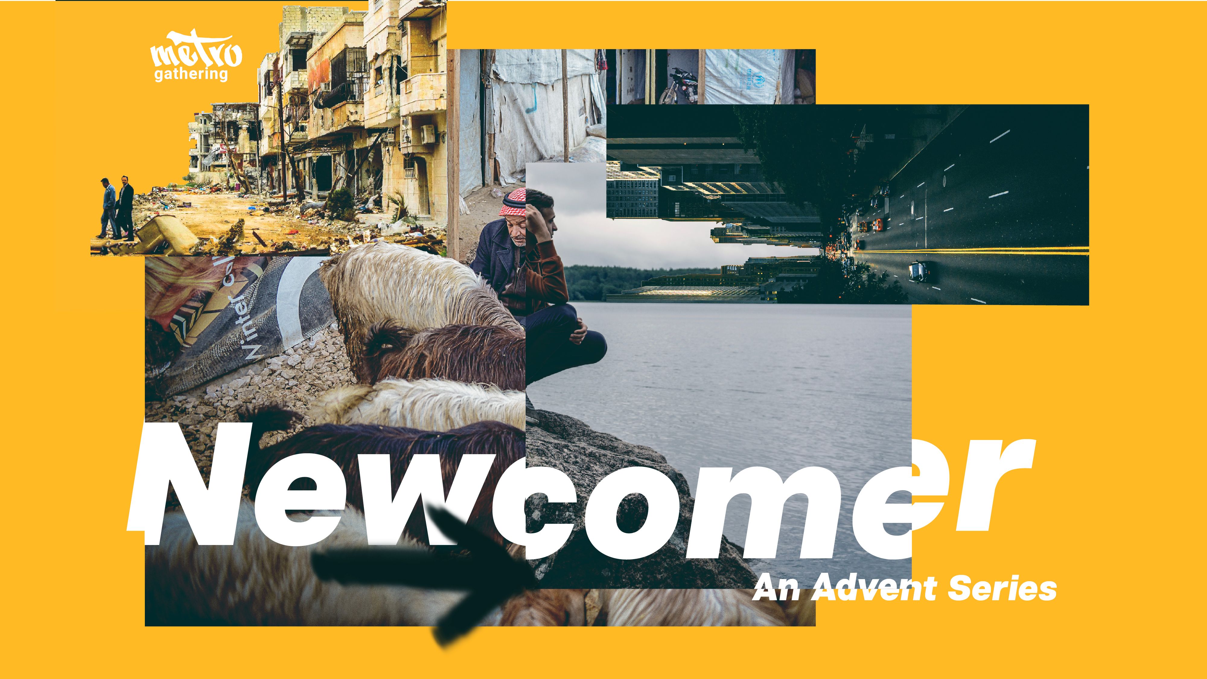 Newcomer graphic