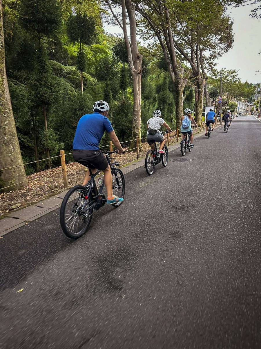 Small group of cyclists wearing helmets riding e-bikes along a quiet tree-lined street in Kyoto in summer, with bamboo grove visible on the left