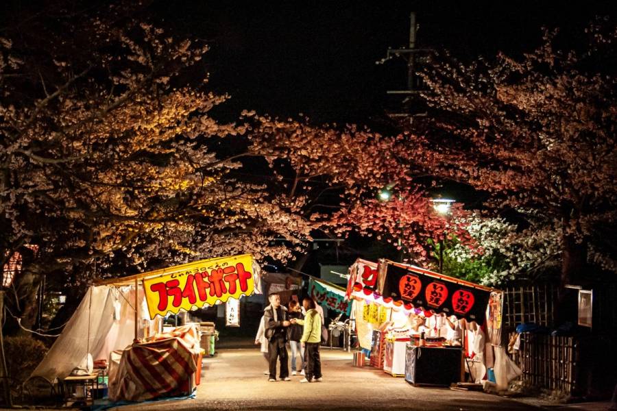 Illuminated Japanese street food stalls at night beneath cherry blossom trees in Maruyama Park, Kyoto, during sakura season.
