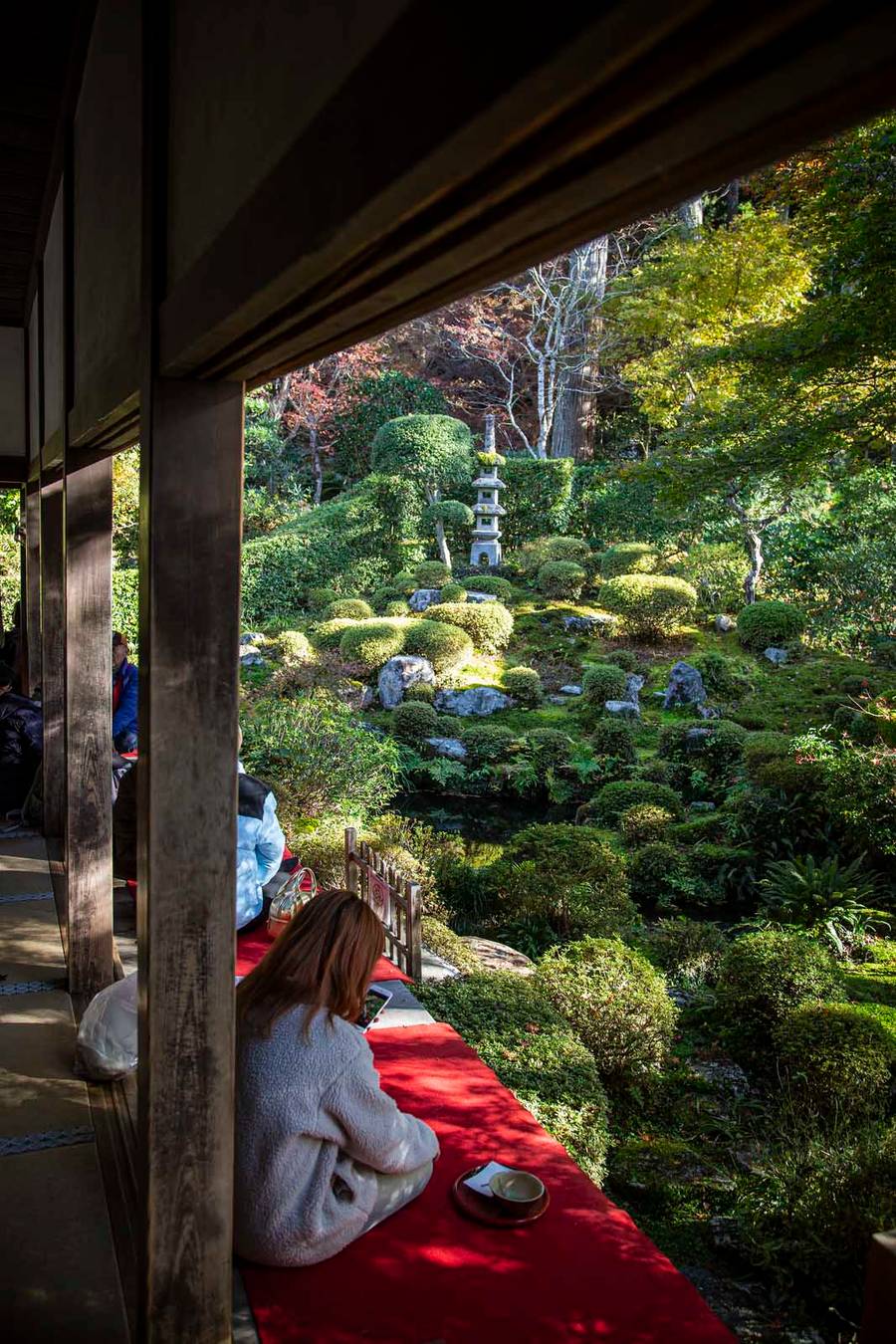 Traveler viewing serene Japanese zen garden with stone lantern and sculpted trees from traditional temple interior in Kyoto