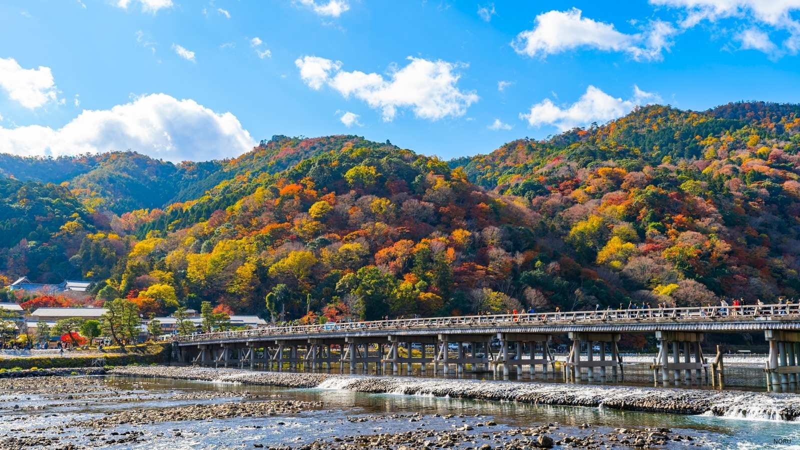Arashiyama at the koyo peak, with Togetsukyo Bridge (渡月橋) below. The view tourists arrive for. The right route gets you here without the day going wrong.