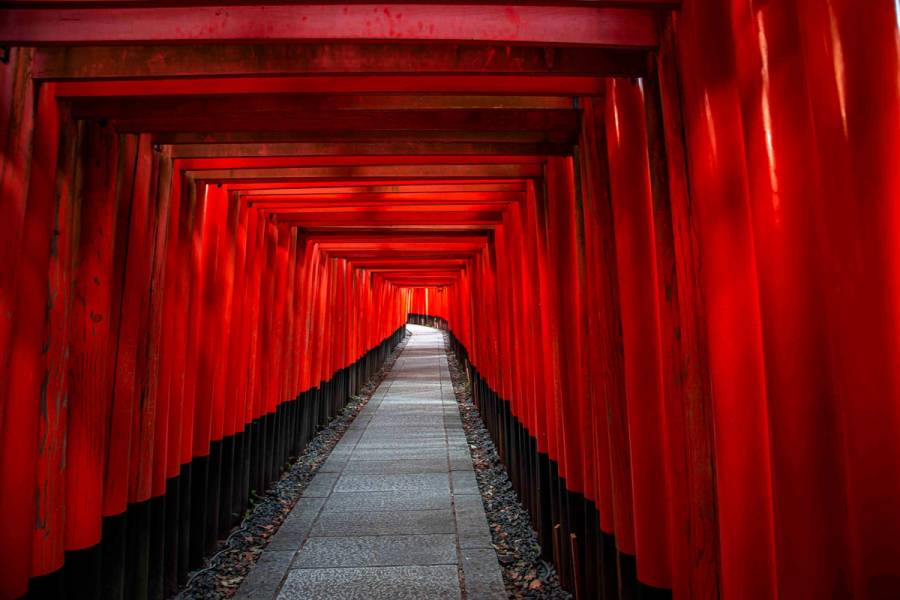 Fushimi Inari Taisha is very accessible by bicycle.