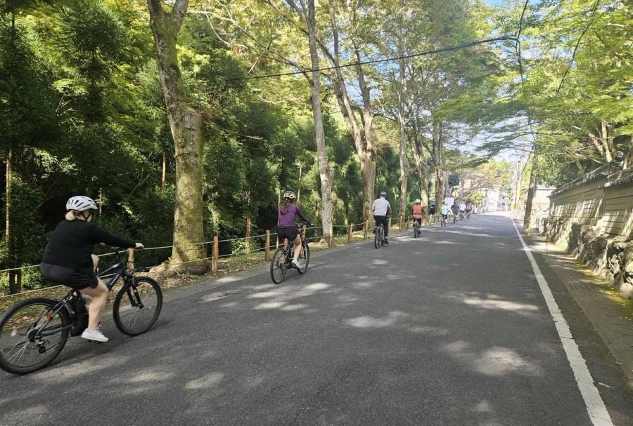 A group of cyclists in helmets ride single-file along a shaded, tree-lined road in Kyoto, dappled sunlight filtering through the lush green canopy overhead.