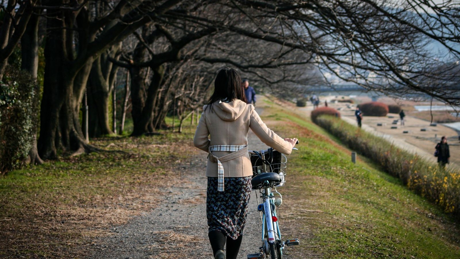 The Kamo River in January, bare branches instead of cherry blossoms, and hardly anyone else on the path. This is the season most visitors skip, and exactly why it's worth a second look.