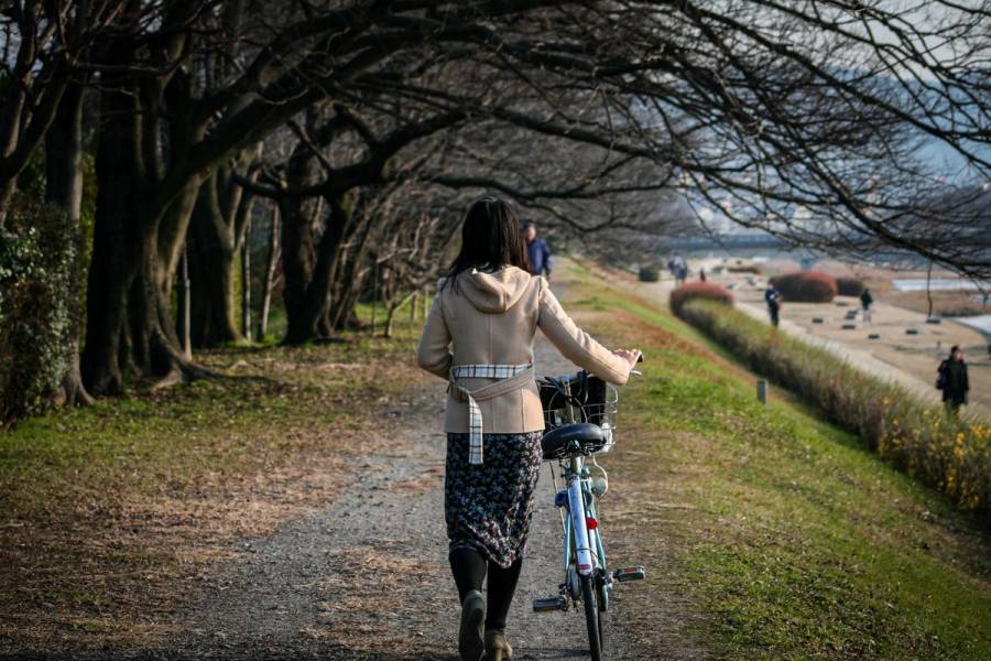 Woman walking a bicycle along a bare tree-lined path beside the Kamo River in winter, northern Kyoto