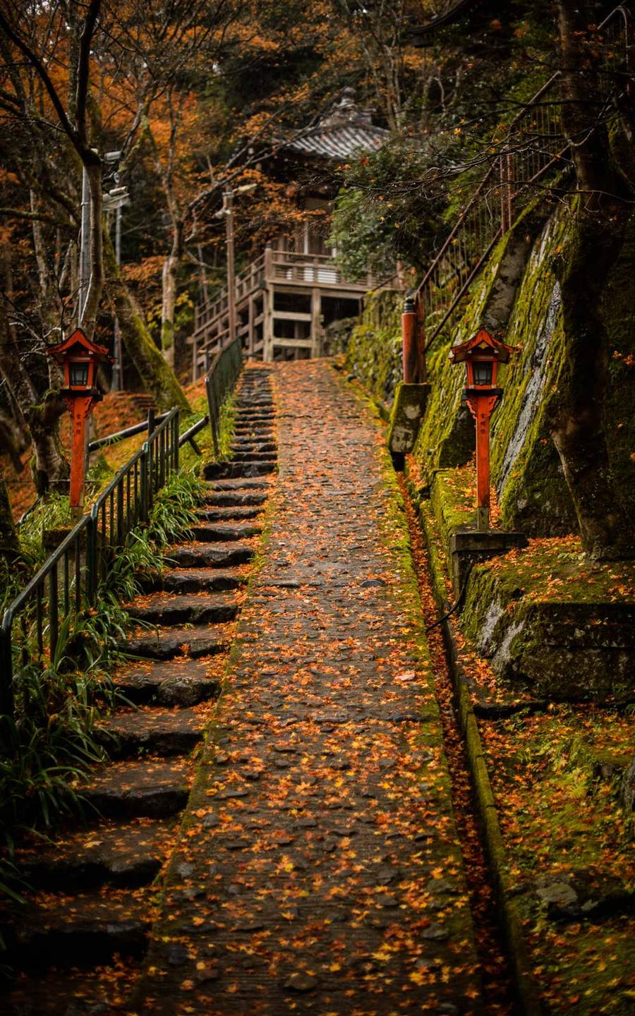 At Noru Kyoto, we pride ourselves on introducing people to the quiet side of Kyoto!