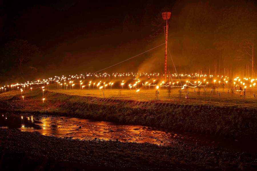 Fire torches standing, stretched across an open plain of field at a festival in Hanase, Kyoto, Japan.