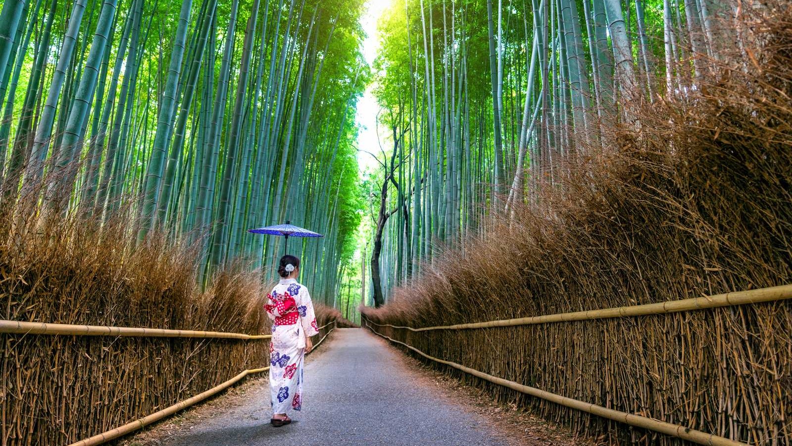 The Arashiyama bamboo grove in summer. The bamboo is at its fullest and greenest from June through August. Before 9am, this path is quiet enough to walk without crowds.
