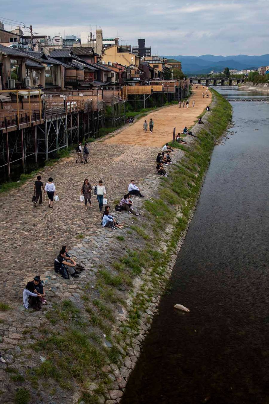 Kamogawa River is the perfect pathway to touring Kyoto by bike.