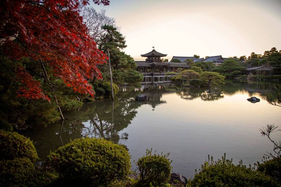 A traditional shrine pavilion reflected in a still garden pond, framed by a maple tree in full red autumn color.
