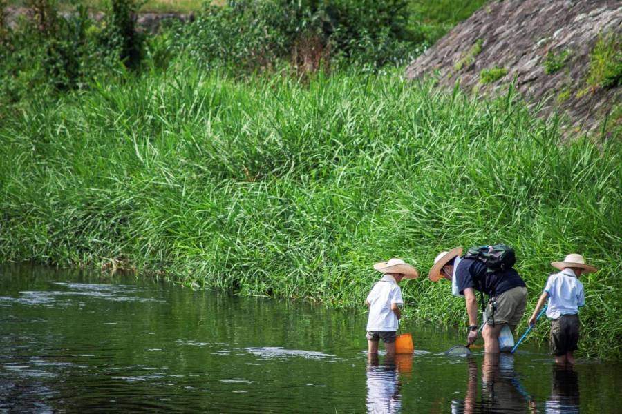 An adult and two children wearing traditional straw hats wade ankle-deep in a shallow Kyoto river, carrying nets and buckets to catch small fish on a lush summer day.