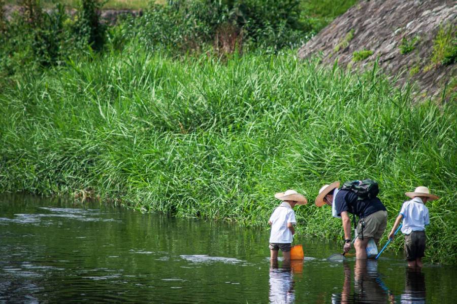 Family wading in a shallow Kyoto river in summer, wearing wide-brim hats and carrying fishing nets, surrounded by lush green riverbank vegetation