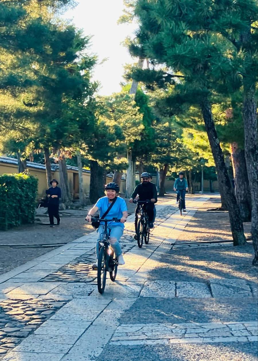 Three cyclists wearing helmets riding e-bikes along a stone-paved path through a pine tree-lined temple precinct in Kyoto, Japan, in warm morning light.