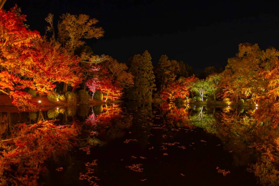 Kyoto's autumn leaves are a beautiful sight and easily rival the cherry blossom season.