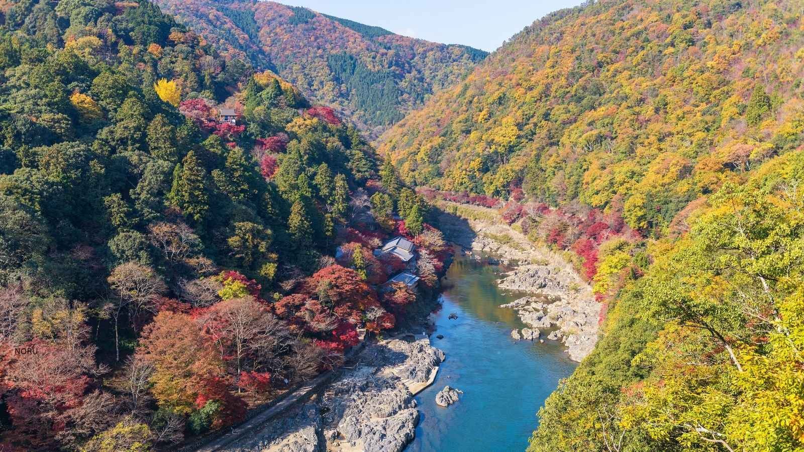 The Katsura River gorge in mid-November, when the colour runs from the ridgeline down to the water. This is the kind of view that makes autumn worth planning a trip around.