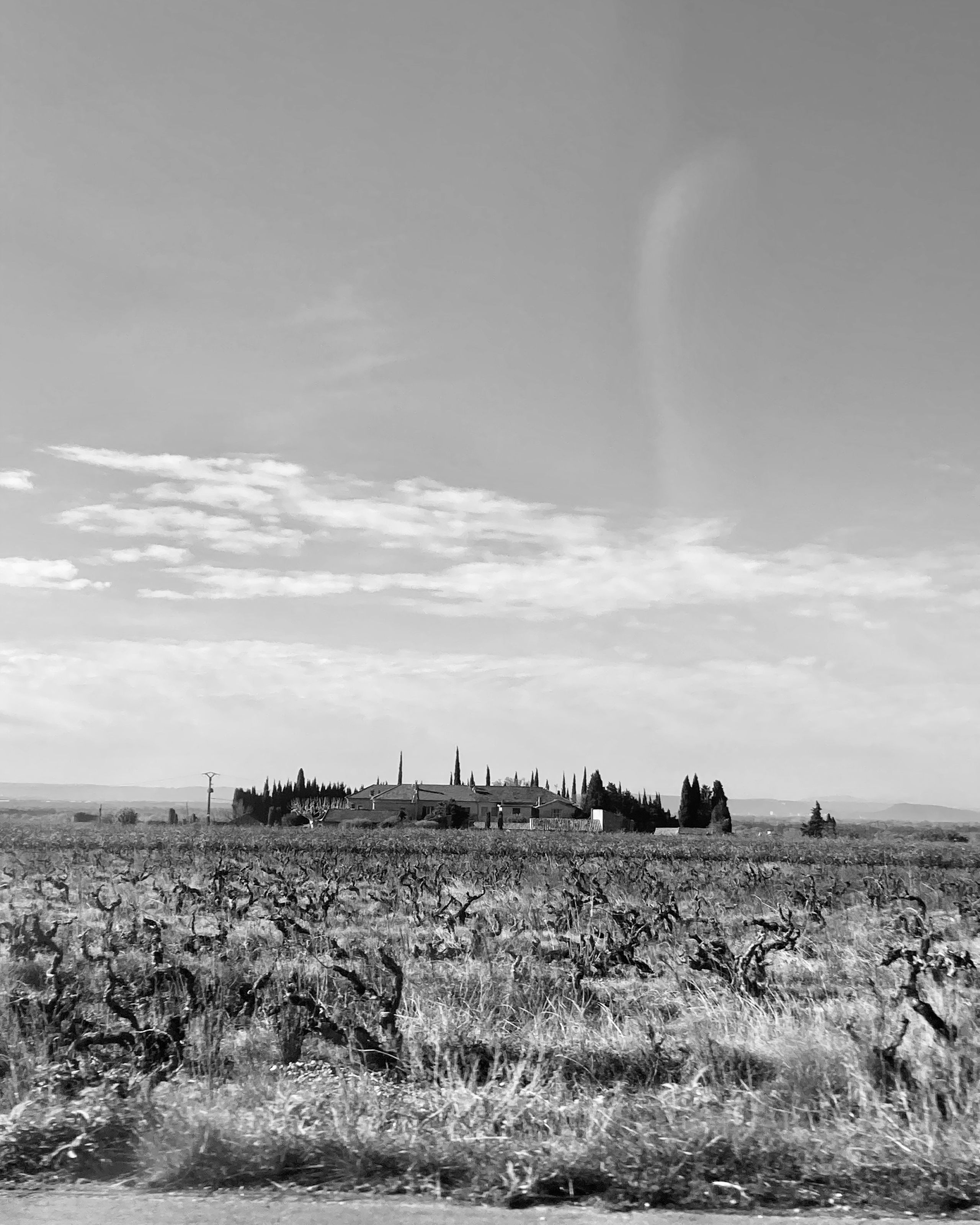 Vue lointaine du site périurbain de Vaison-la-Romaine, terrain agricole plat en premier plan, mas et alignements d’arbres marquant le futur pôle culture et jeunesse.