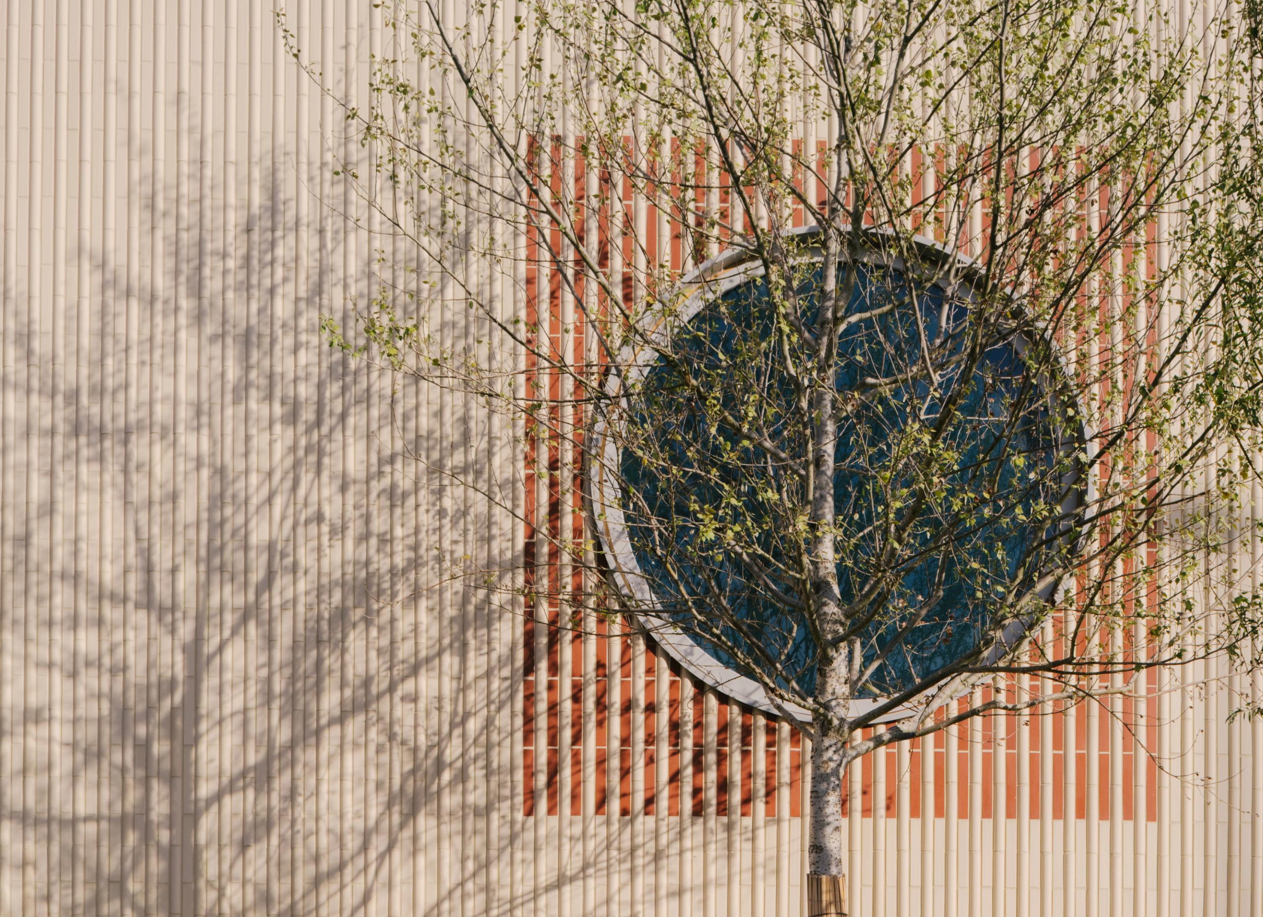 Façade en terre cuite du groupe scolaire Dominique Frelaut à Colombes, percée d’un oculus circulaire bleu, rythmée de lames verticales et filtrée par un arbre en premier plan.