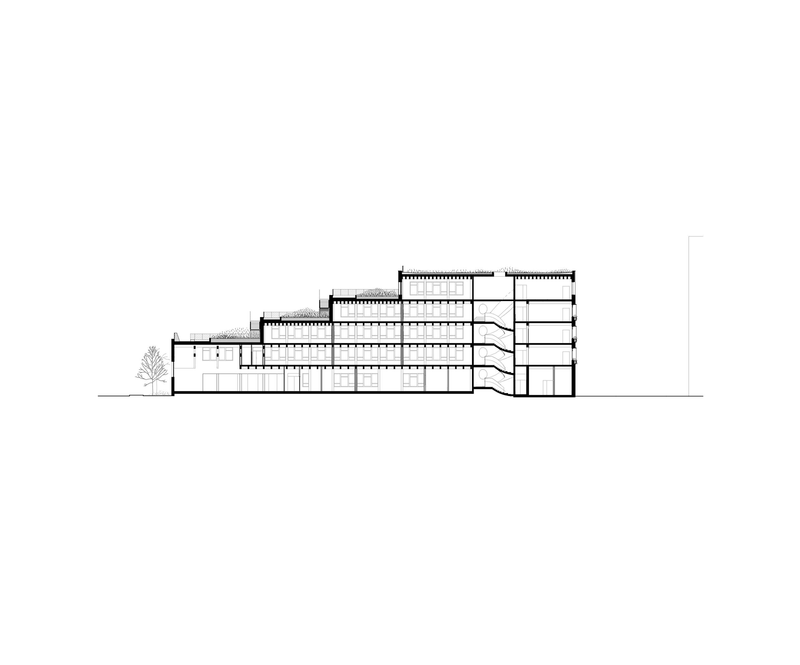 Coupe longitudinale du groupe scolaire Dominique Frelaut à Colombes, montrant volumes en gradins, circulations verticales et toitures-jardins superposées.
