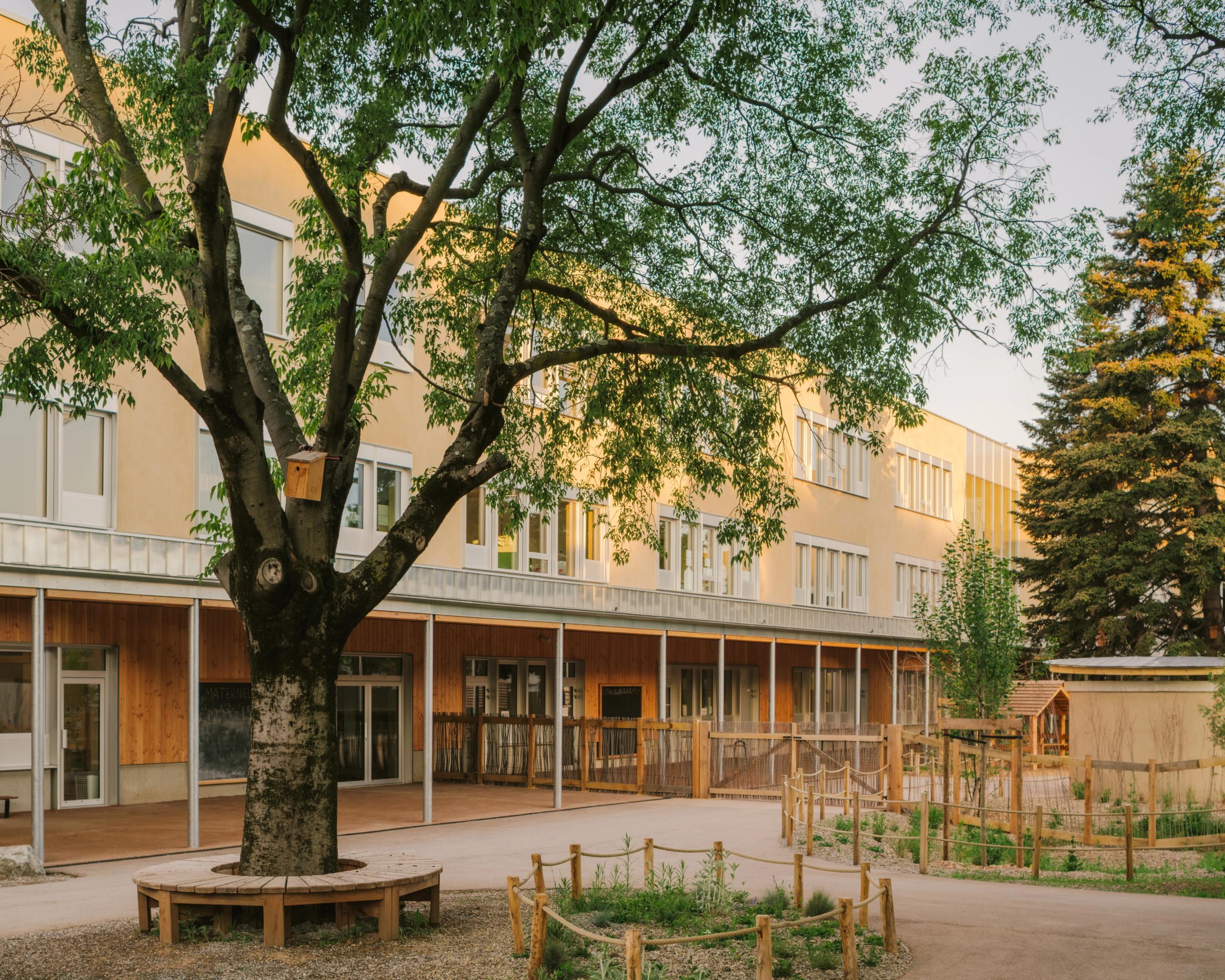 Cour végétalisée du Groupe scolaire Kennedy à Lyon, façades minérales claires sur rez-de-chaussée bois, galerie couverte et grand arbre central.
