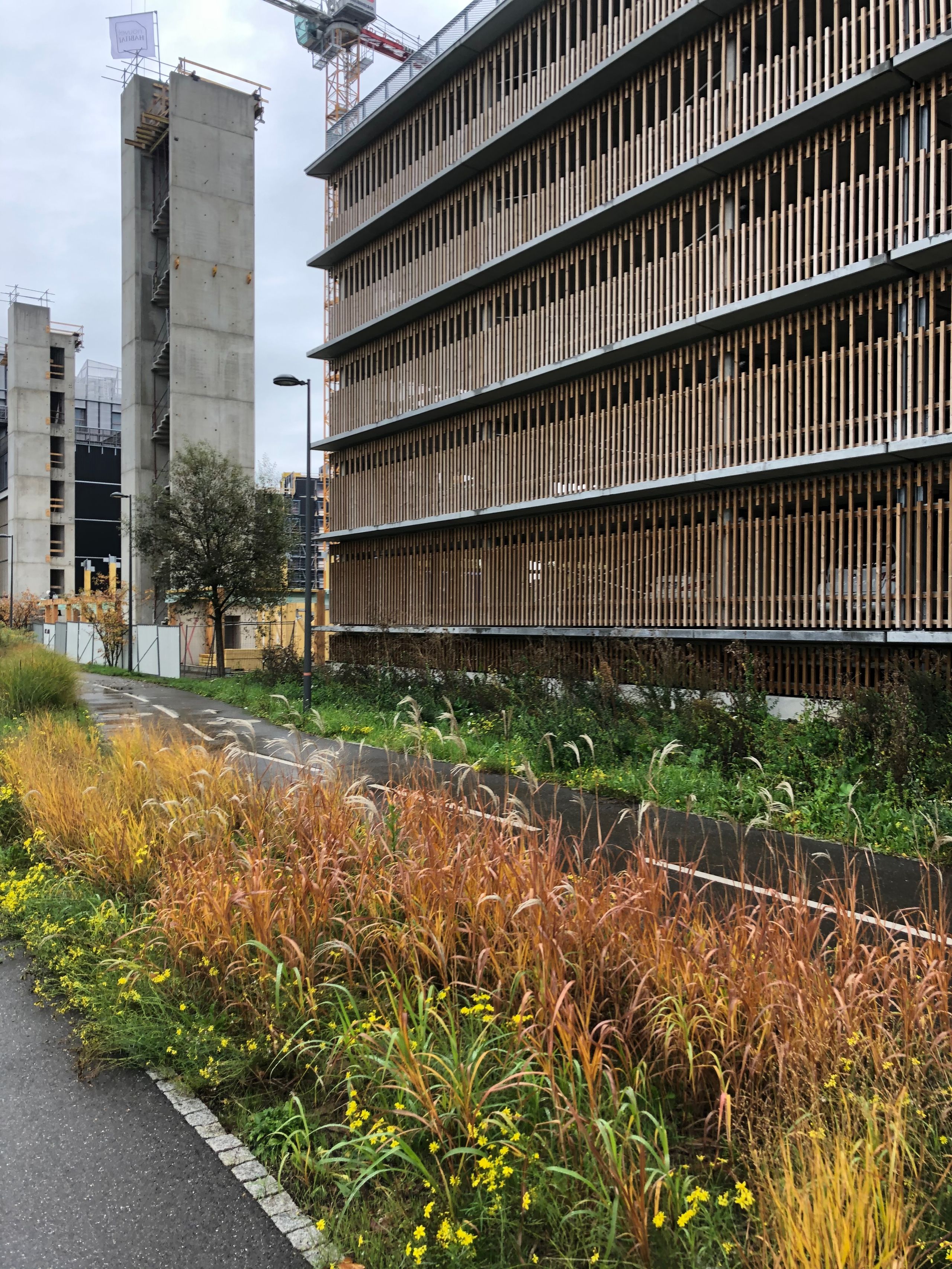 Façade du parking silo Tectoniques à Strasbourg, bardage vertical bois sur structure béton, vue depuis une voie paysagée avec noues plantées en premier plan.