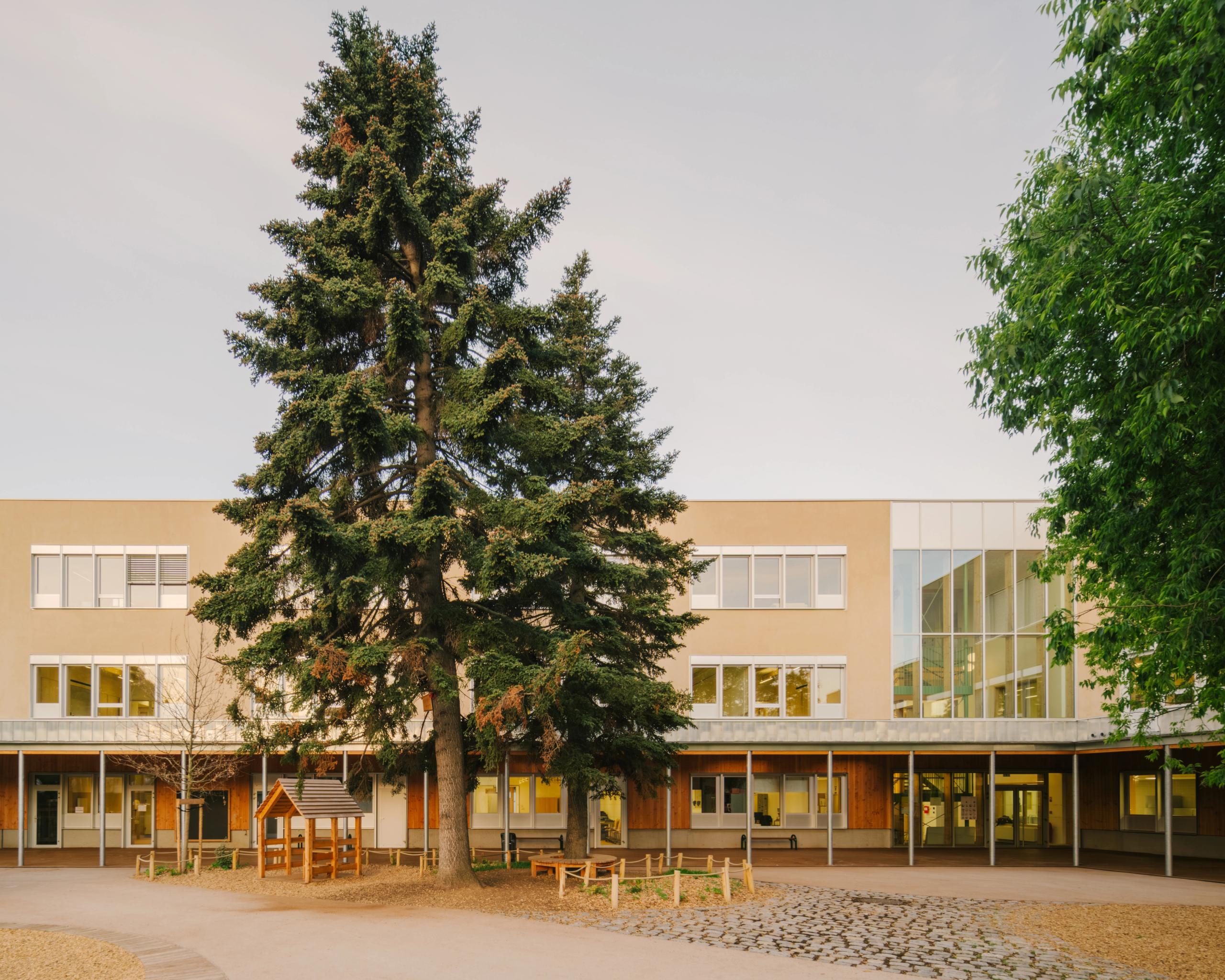 Façade du groupe scolaire Kennedy à Lyon : volume simple enduit, grand hall vitré en angle, préau bois-béton sur cour végétalisée autour d’un grand conifère.