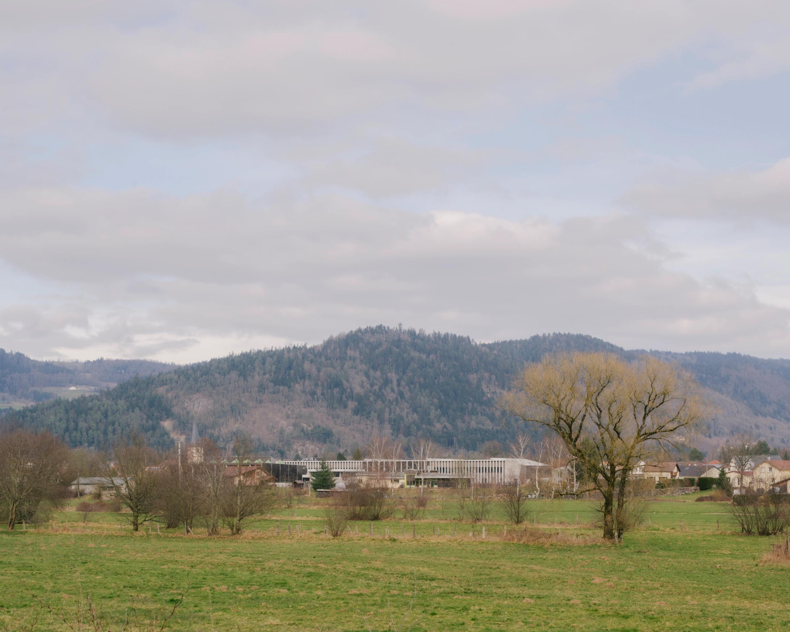 Vue lointaine du Collège du Ban à Vagney : volumes bas et linéaires en bois clair, implantés en plaine ouverte au pied du massif forestier vosgien.