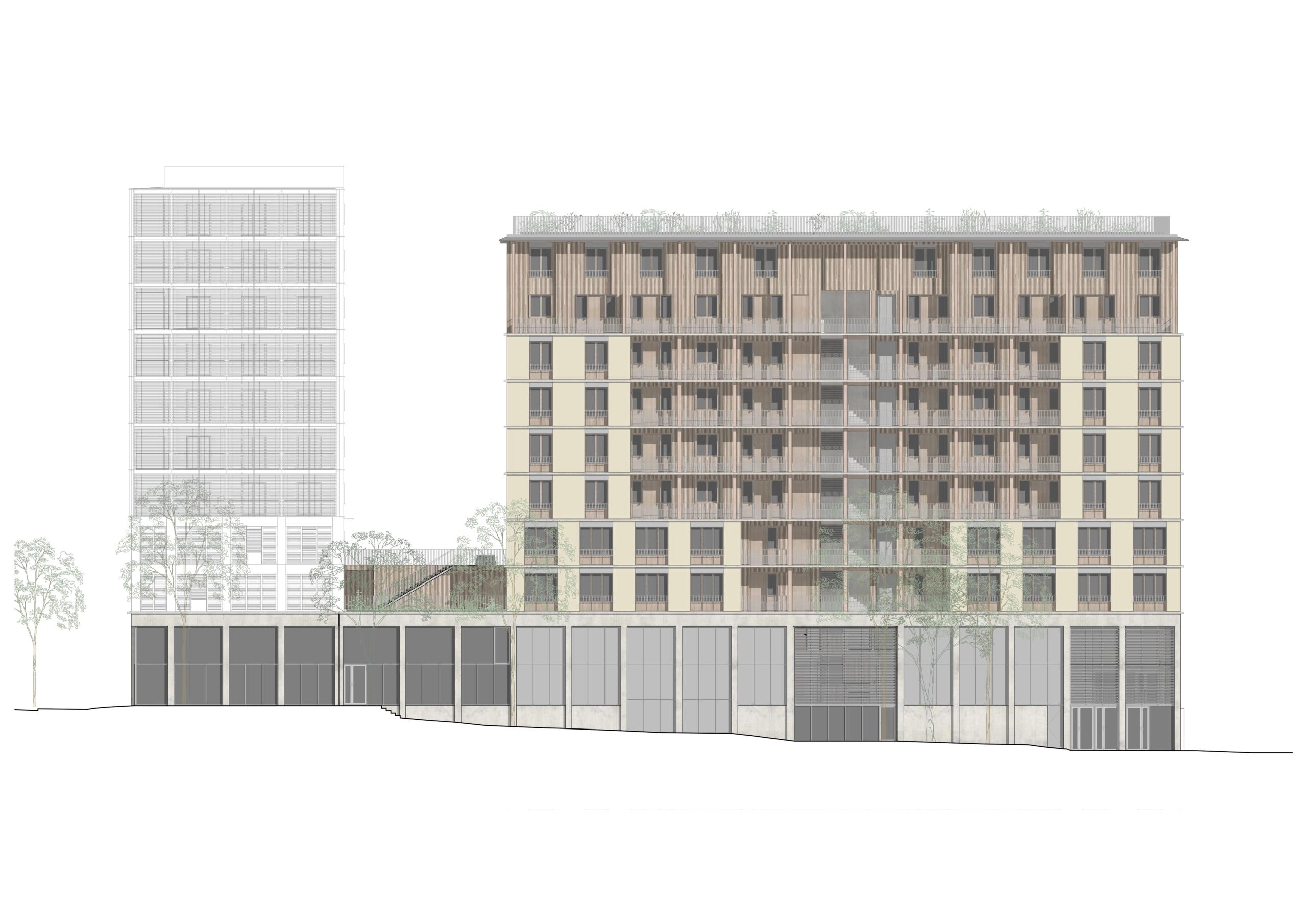 Élévation architecturale de l’îlot logements, bureaux et gymnase à Lyon, montrant un socle tertiaire largement vitré sur toute la longueur, surmonté d’un volume principal de logements en R+8 avec façades rythmées par des trames verticales, alternance de panneaux clairs et de bardage bois, balcons filants et loggias, toiture végétalisée et intégration de volumes en retrait pour le gymnase, le tout inscrit dans un tissu urbain dense avec un immeuble voisin esquissé en arrière-plan.