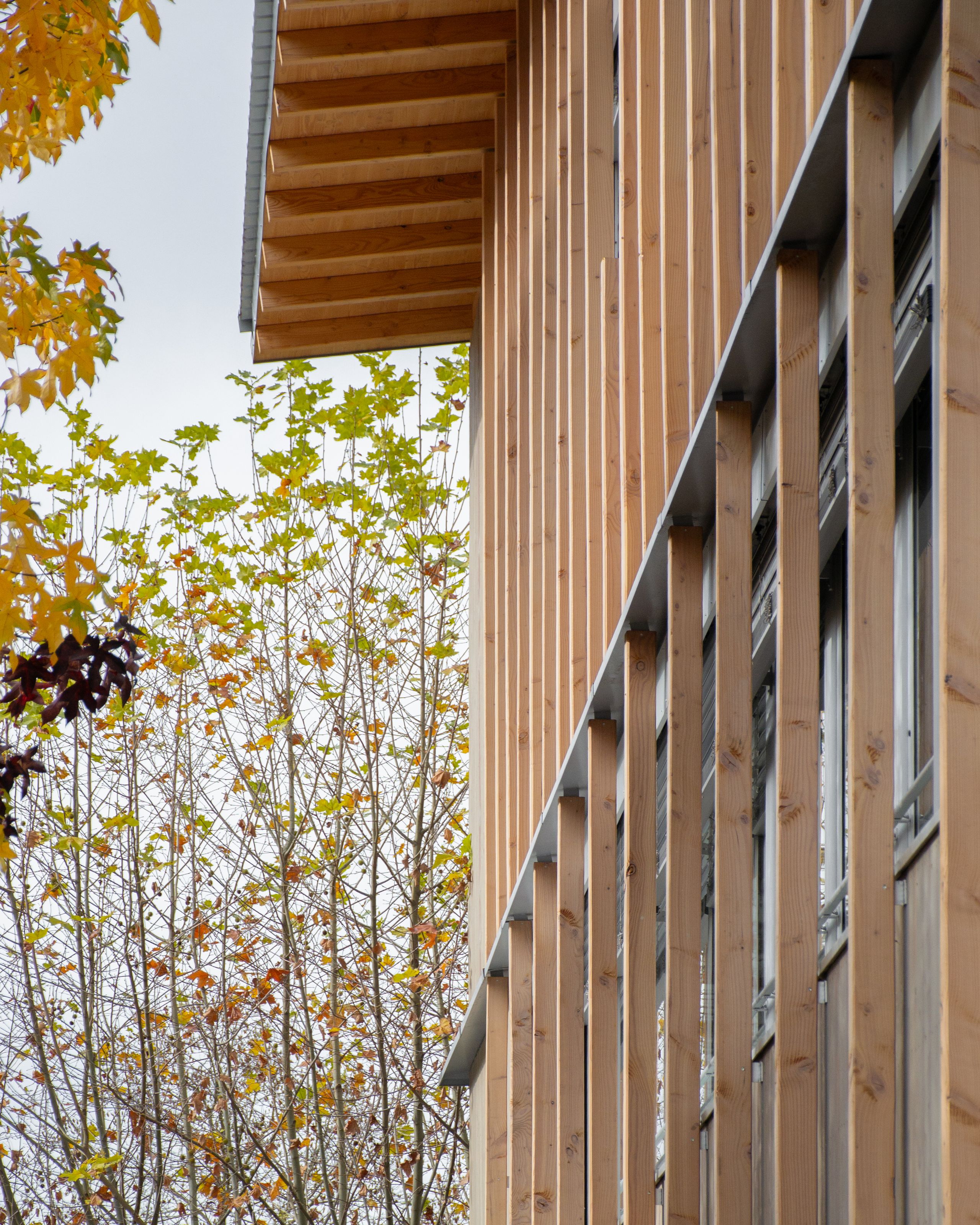 Façade en ossature bois surélevée du groupe scolaire du Bouchet à Bonneville, bardage vertical rythmé et débord de toiture face aux arbres de la cour.